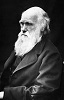 Charles Darwin